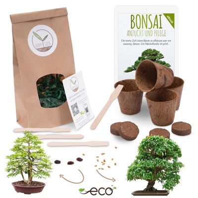 Bonsai Starter Kit Anzuchtset inkl. GRATIS eBook - Pflanzset aus Kokostöpfen, Samen & Erde (Zwerg-Granatapfel + Tamarinde)