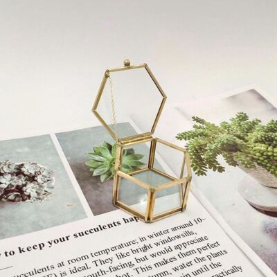 Glass Jewelery Box - Hexagonal
