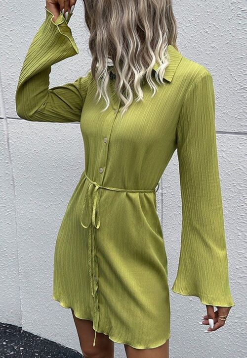 Textured Striped Flare Sleeves Dress-Green