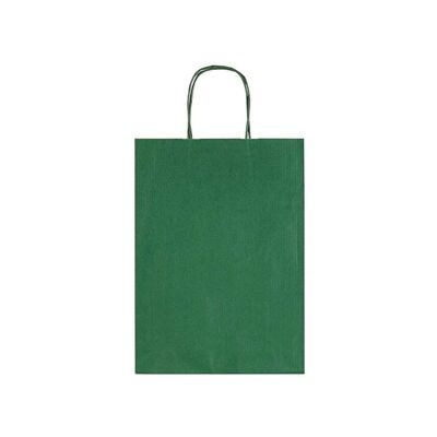Allegra Dark Green Kraft Paper Bag (Small)