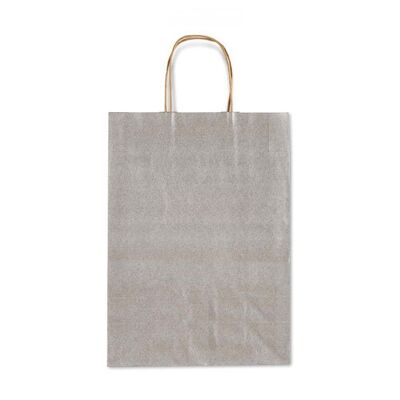 Allegra Dark Gray Silver Kraft Paper Bag (Medium)