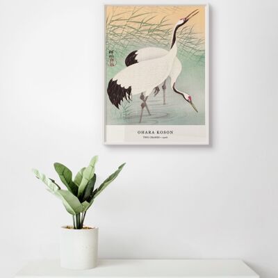 Affiche Ohara Koson - Deux grues - 30 x 40 cm