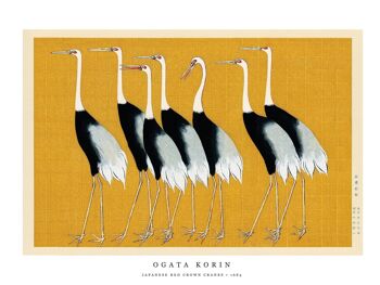 Affiche Ogata Korin - Grues rouges du Japon - 30 x 40 cm 2