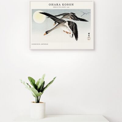 Poster Ohara Koson - Uccelli alla luna piena - 30 x 40 cm