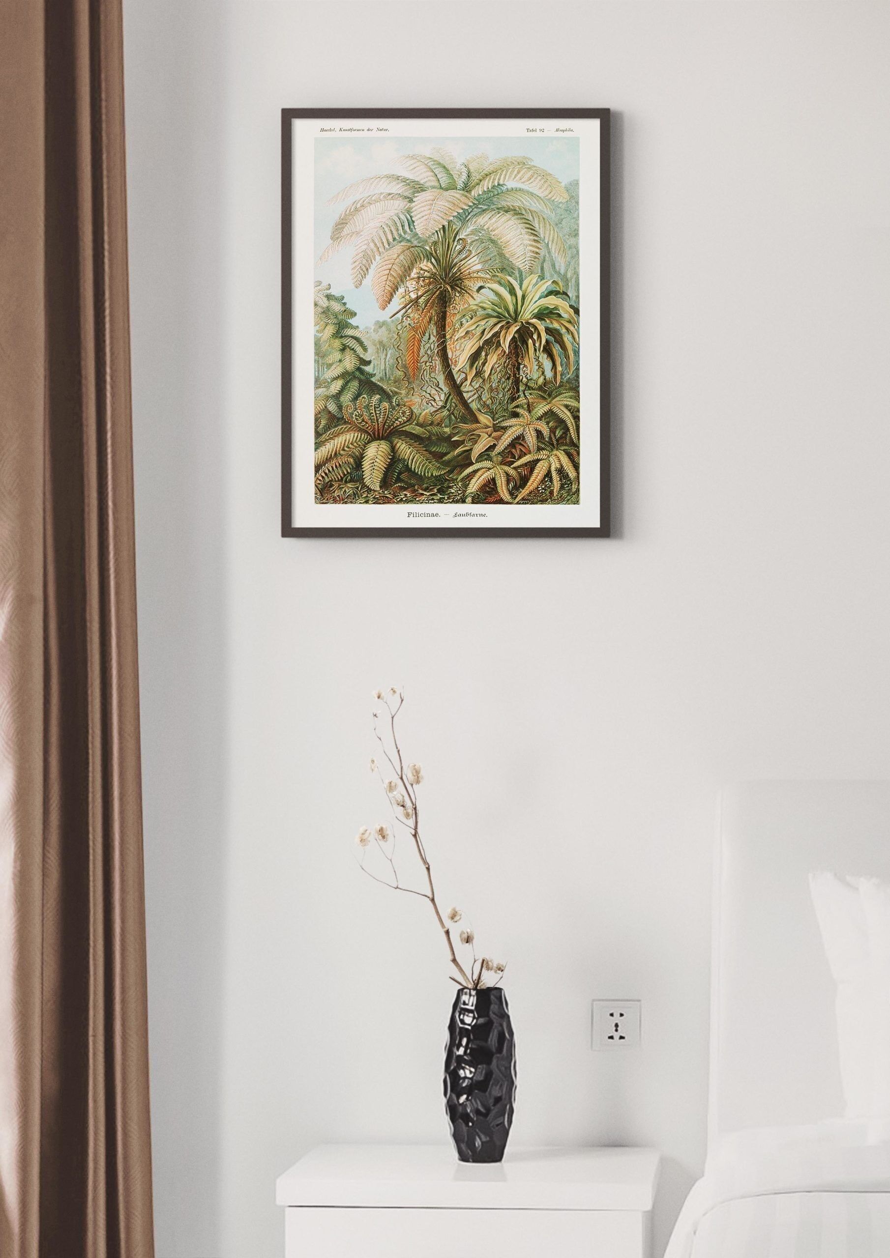 Póster Ernst Haeckel - Filicinae - 30 x 40 cm