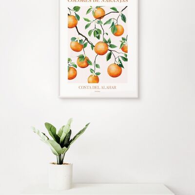 Poster Oranje Sinaasappels - Valencia - 30 x 40 cm