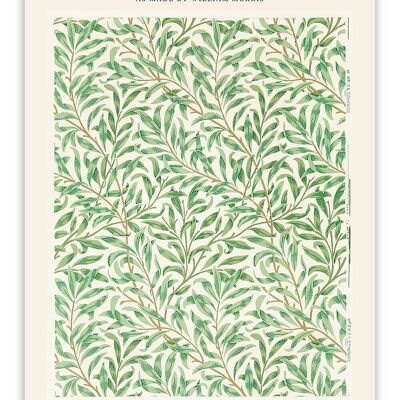 Carte postale William Morris - Branche de saule