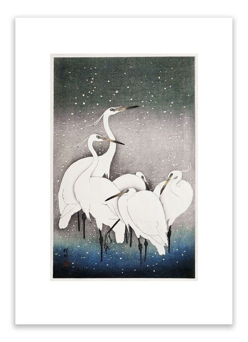 Postcard Group Of Egrets - Ohara Koson