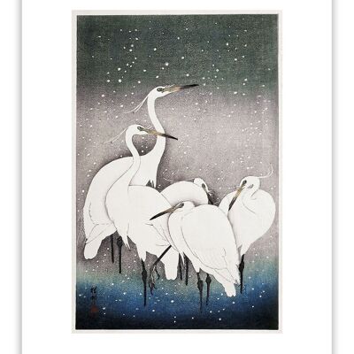 Postcard Group Of Egrets - Ohara Koson