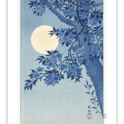 Carte postale 'Cerisier en fleurs au clair de lune' - Hokusai