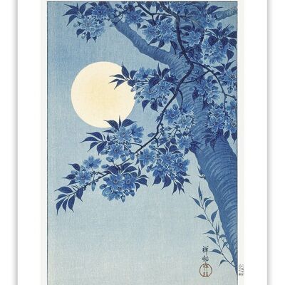Postcard 'Blooming Cherry in the Moonlight' - Hokusai