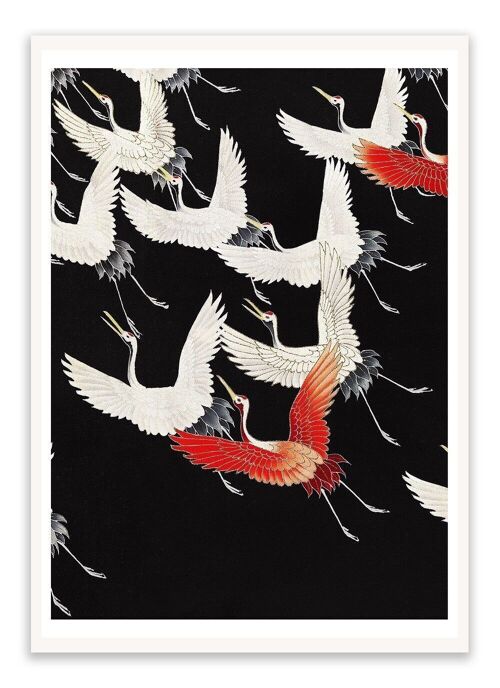 Postcard Furisode With A Myriad Of Flying Cranes