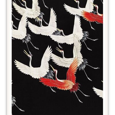 Carte Postale Furisode Avec Une Myriade De Grues Volantes