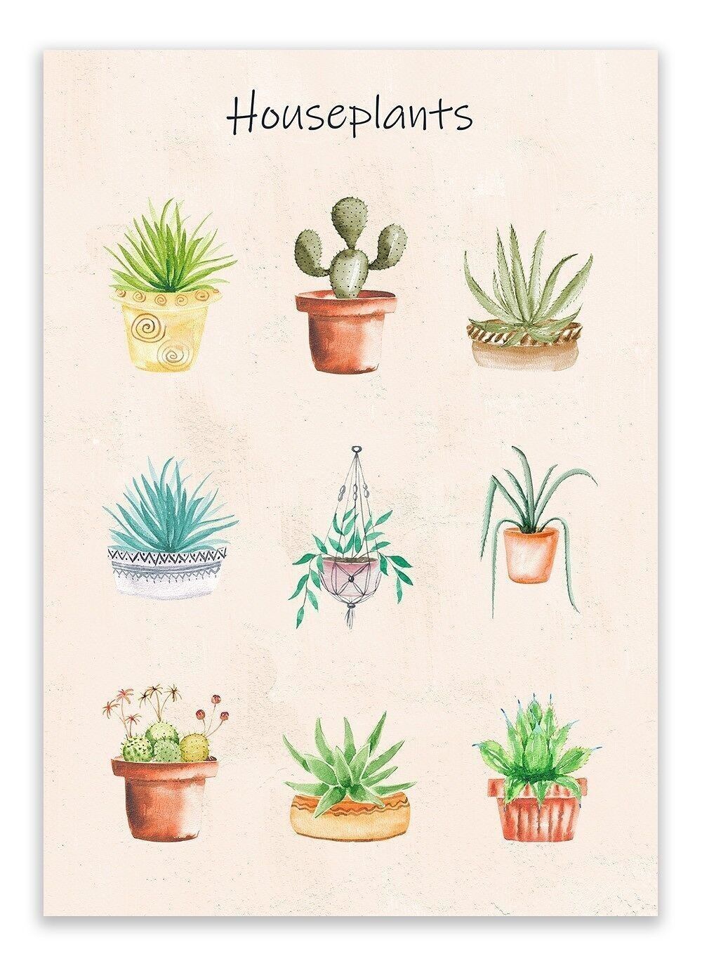 Carte postale Plantes d'intérieur - 'Plantes d'intérieur' Botanique