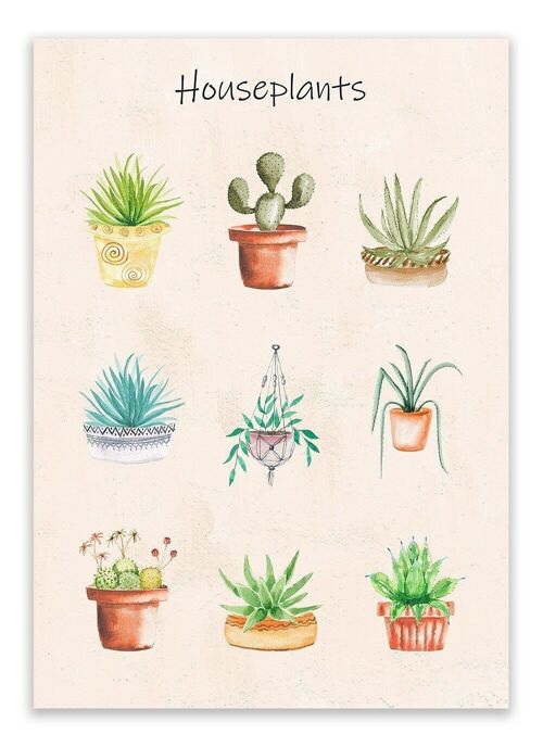Postcard Houseplants - 'Houseplants' Botanical