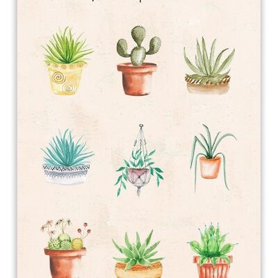 Carte postale Plantes d'intérieur - 'Plantes d'intérieur' Botanique