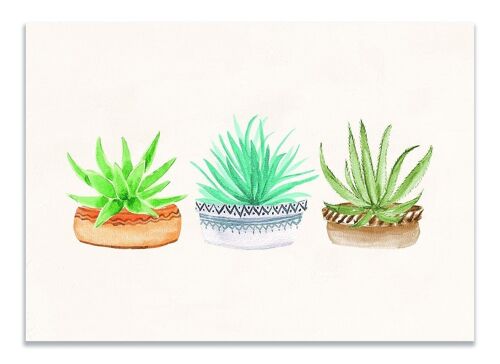 Postcard Three Plants - Botanical