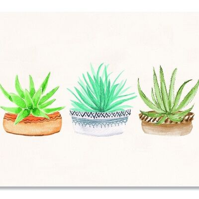 Postkarte Drei Pflanzen - botanisch
