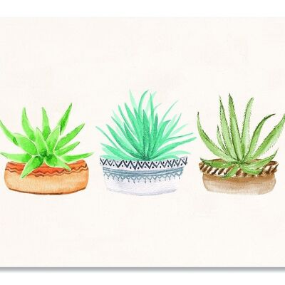 Cartolina Tre Piante - Botanica