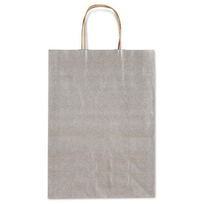 Allegra Silver Gray Kraft Paper Bag (Large)