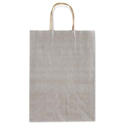 Bolsa de papel Kraft Allegra Gris Plateada (grande)