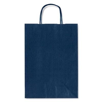 Allegra Blue Kraft Paper Bag (Large)