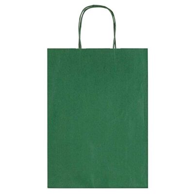 Allegra Green Kraft Paper Bag (Large)