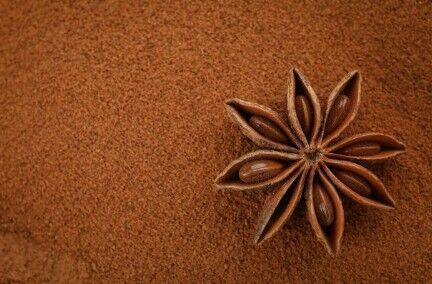 Anice stellato o polvere di anice stellato del commercio equo e solidale di Haiti - 750 g - HECOSFAIR