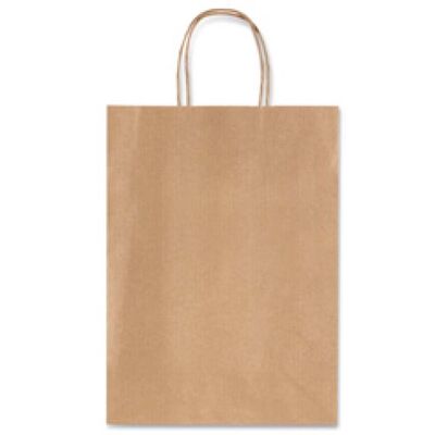 Avana Kraft Paper Bag (Extra Large)