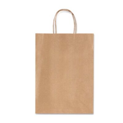 Avana Kraft Paper Bag (Large)