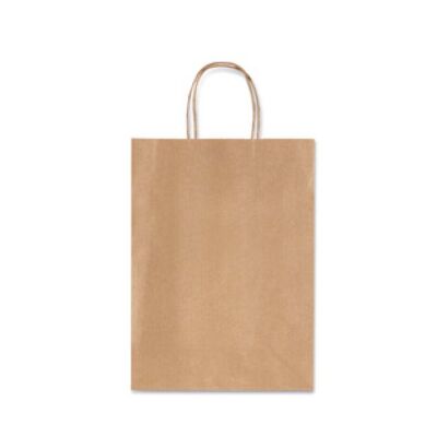Avana Kraft Paper Bag (Medium)