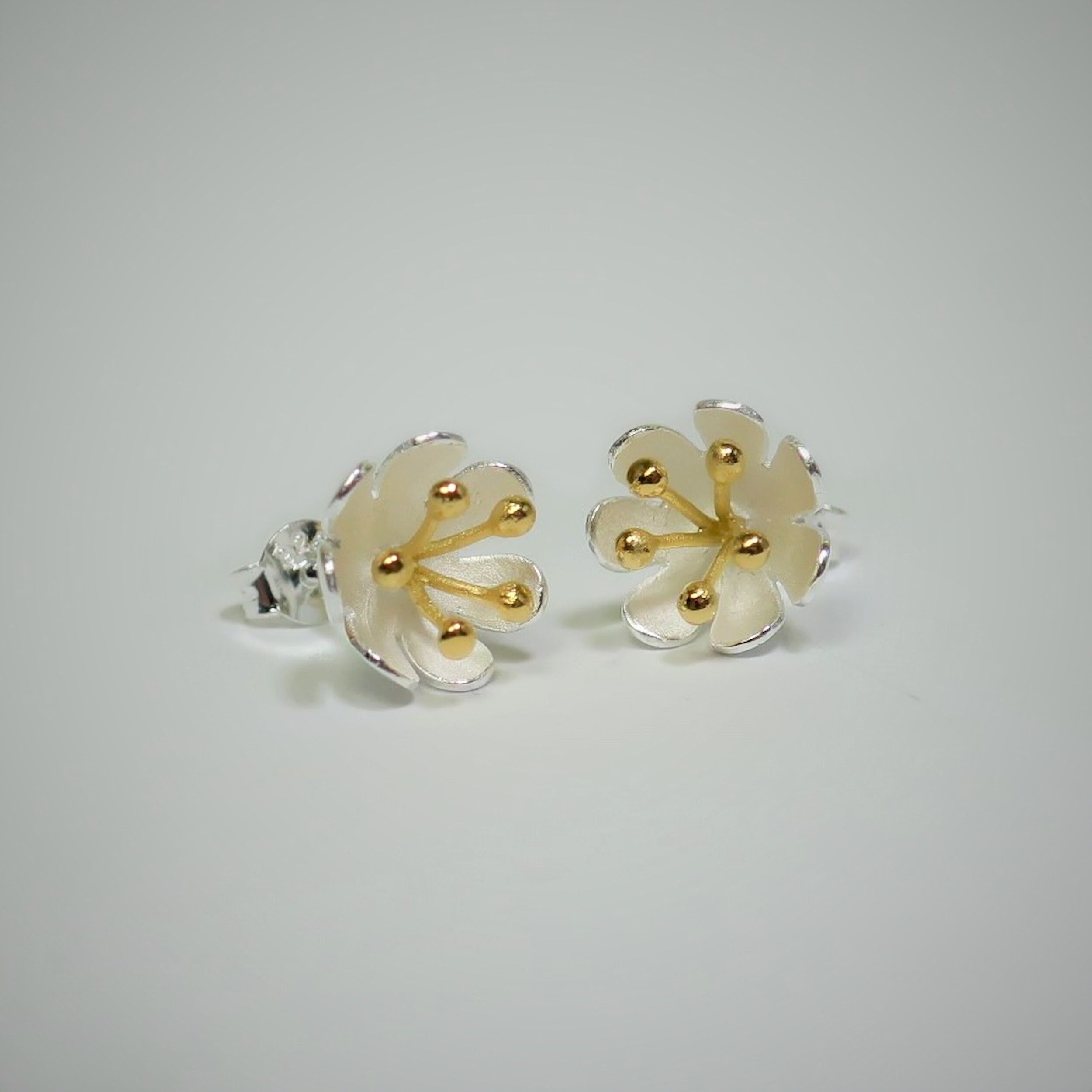 Goujons de fleurs de printemps