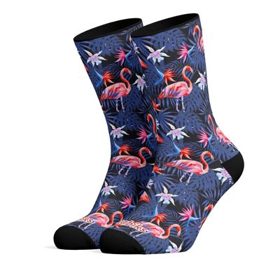 American flamingos  -  Wabiks  -