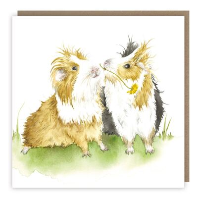 Guinea A Kiss Greeting Card