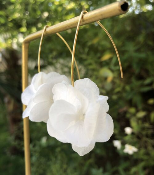 Boucle d'oreille pendantes rigides en fleurs d'hortensia fraîches stabilisées