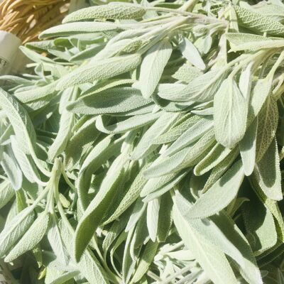 Organic dried sage officinalis - 15g