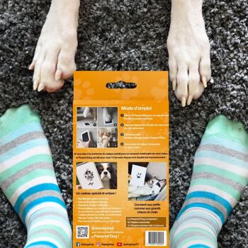 Pawprint'Dog - 500 Kits d'empreintes pour Chiens et Chats 3