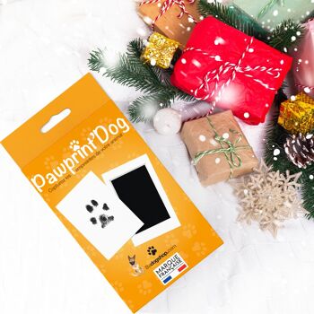 Pawprint'Dog - 500 Kits d'empreintes pour Chiens et Chats 5