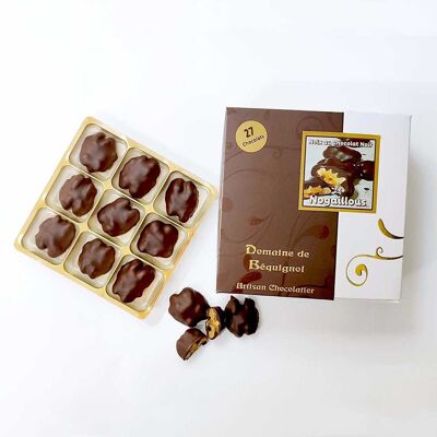 Nogaillous du Périgord - Chocolats aux noix - Boite 27 chocolats, 135 g