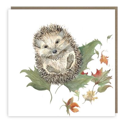 Sr. Prickles Hedgehog Tarjetas de felicitación