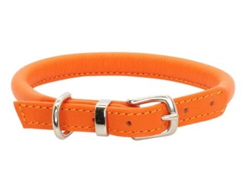 D&H Rolled Soft Leather Dog Collar Contemporary Collection