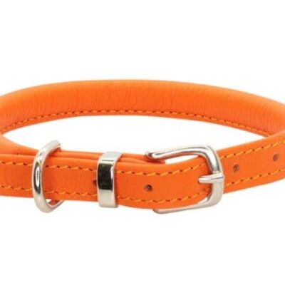 D&H Rolled Soft Leather Dog Collar Contemporary Collection