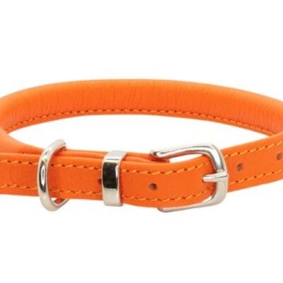 D&H Rolled Soft Leather Dog Collar Contemporary Collection