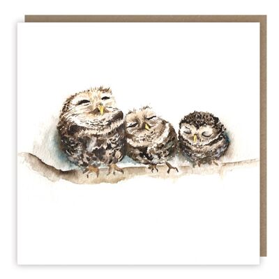 Sleepy Little Owls Greeting Card