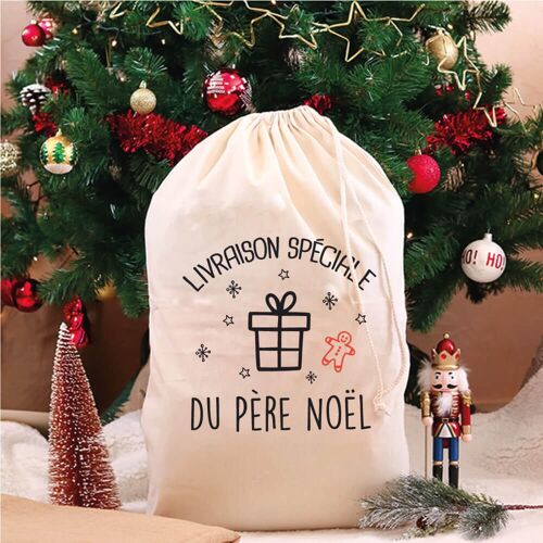 Hotte de Noël coton (49 x 75 cm) Livraison spéciale de Noël