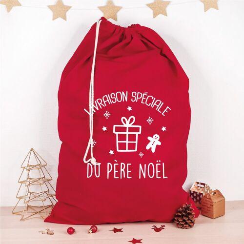 Hotte de Noël (49 x 75 cm) rouge Livraison spéciale de Noël