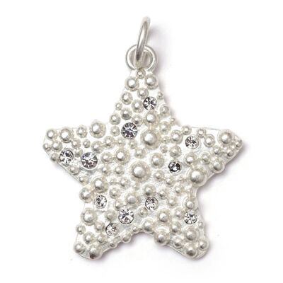 Star SilverShiny, Amulett L