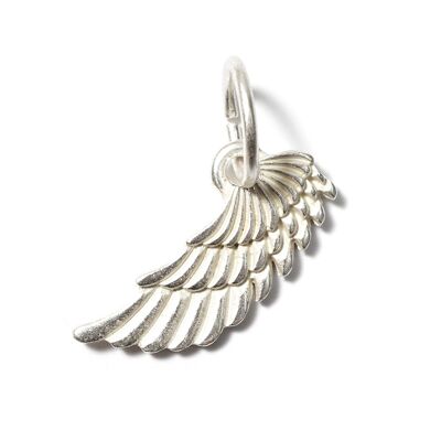 Wing SilverShiny, Amulet S