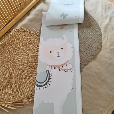 Growth chart in llama fabric and butterflies