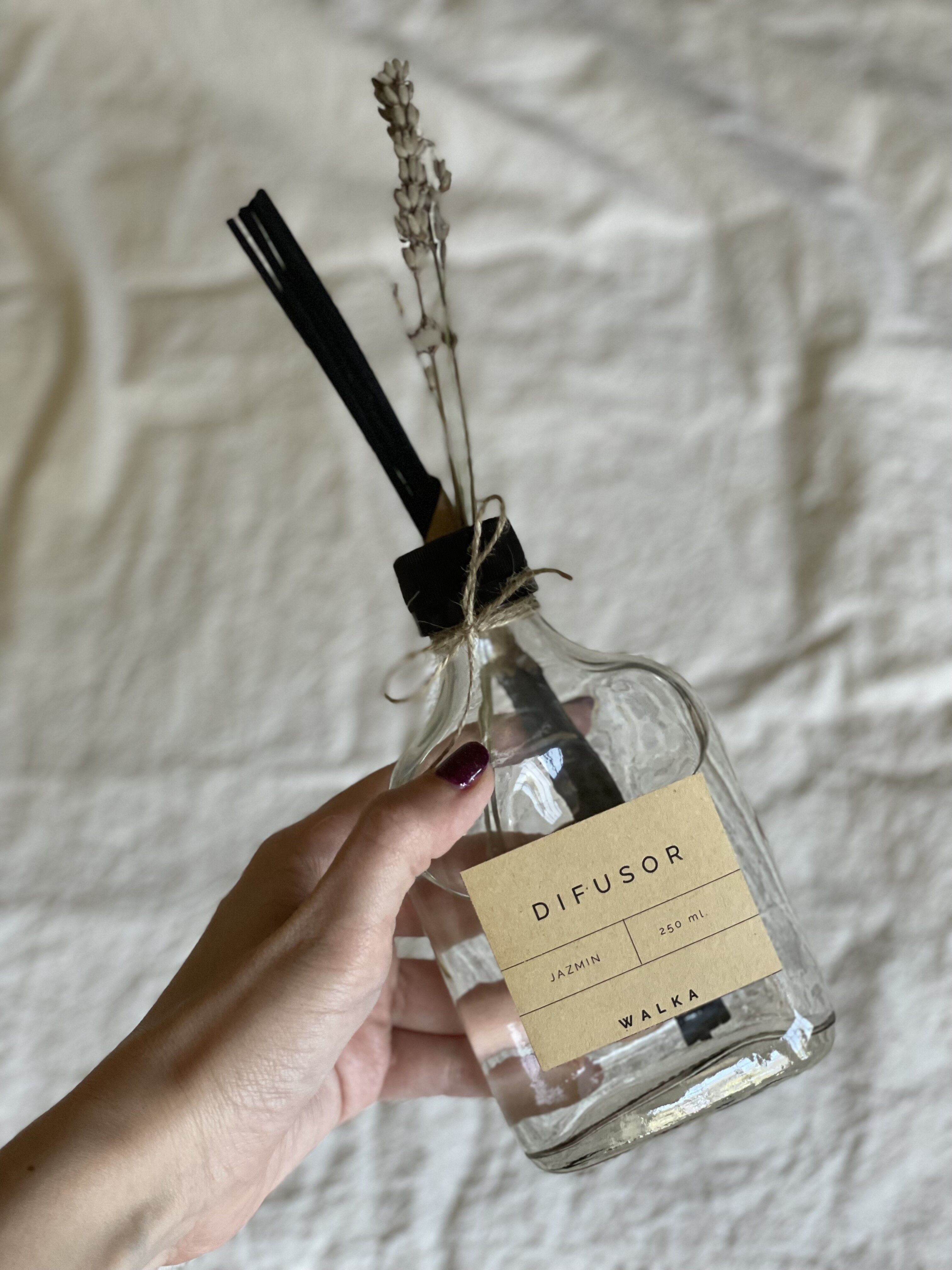 Vela Ara - VELARANEGCAN